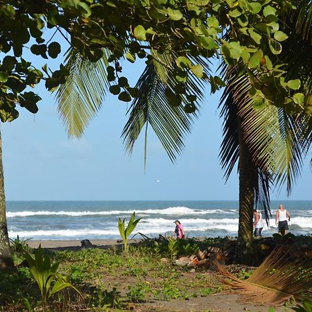 Hotel Pura Natura Beachfront Tortuguero Luaran gambar
